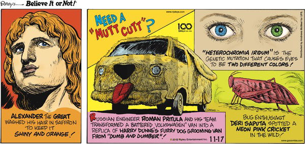 Ripley's Believe It or Not on Sunday November 17, 2019 Comic Strip