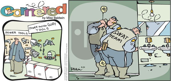 Cornered on Sunday August 24, 2008 Comic Strip
