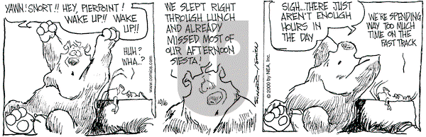 The Grizzwells on Monday October 16, 2000 Comic Strip