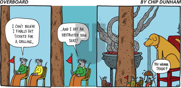 Overboard on Sunday June 21, 2015 Comic Strip