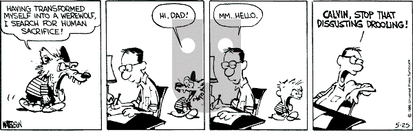 Calvin and Hobbes - Saturday May 25, 1991 Comic Strip
