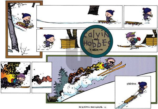 Calvin and Hobbes - Sunday January 2, 1994 Comic Strip