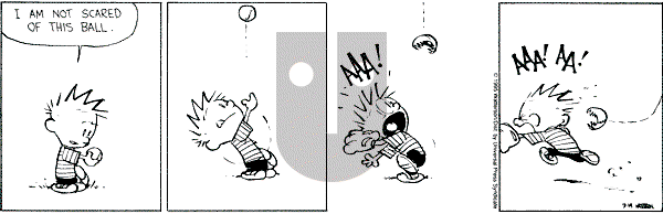 Calvin and Hobbes - Tuesday March 14, 1995 Comic Strip