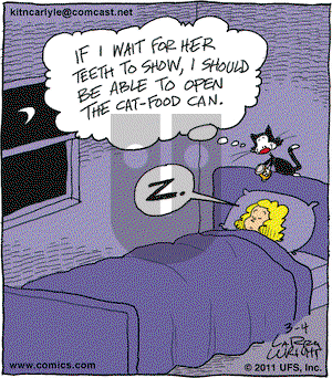 Kit 'N' Carlyle on Friday March 4, 2011 Comic Strip