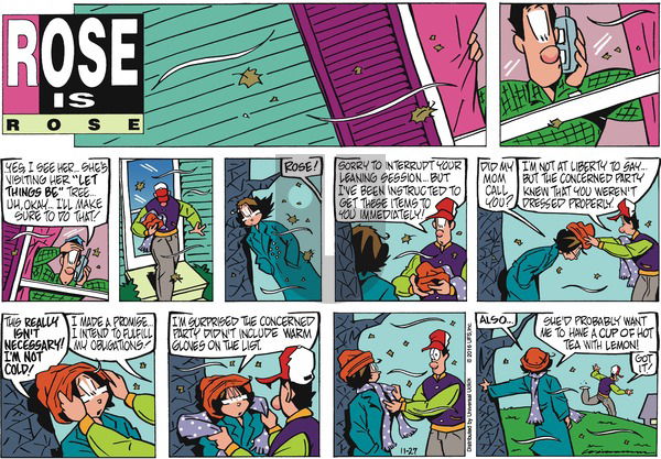 Rose is Rose on Sunday November 27, 2016 Comic Strip