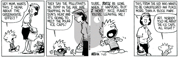 Calvin and Hobbes on Thursday July 23, 1987 Comic Strip