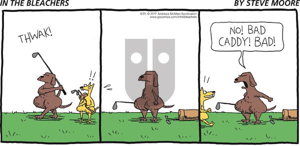 In the Bleachers on Sunday June 25, 2017 Comic Strip