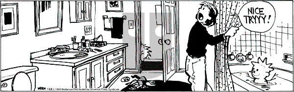 Calvin and Hobbes - Wednesday January 20, 1993 Comic Strip