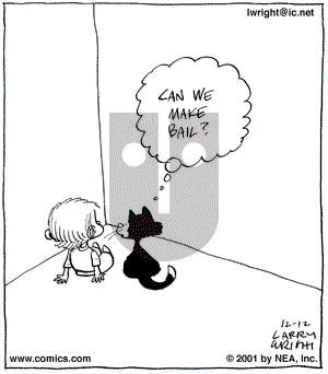 Kit 'N' Carlyle on Wednesday December 12, 2001 Comic Strip