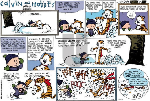 Calvin and Hobbes on Sunday January 17, 1993 Comic Strip