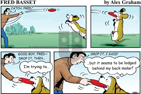 Fred Basset on Sunday February 7, 2010 Comic Strip