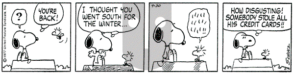 Peanuts on Friday September 30, 1977 Comic Strip