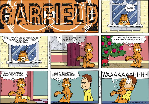 Garfield - Sunday December 26, 2010 Comic Strip
