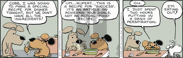DeFlocked on Saturday May 17, 2008 Comic Strip