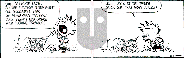 Calvin and Hobbes - Tuesday June 29, 1993 Comic Strip