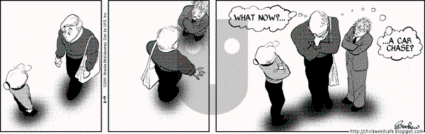 9 Chickweed Lane on Thursday April 14, 2011 Comic Strip