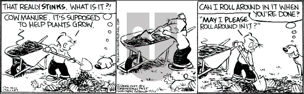 Red and Rover on Monday October 23, 2006 Comic Strip