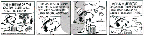 Peanuts on Thursday May 21, 1987 Comic Strip
