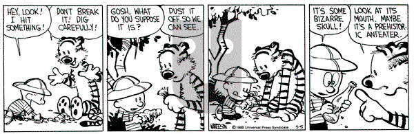 Calvin and Hobbes on Thursday May 5, 1988 Comic Strip