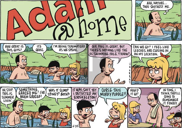 Adam@Home on Sunday June 25, 2017 Comic Strip