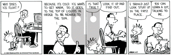 Calvin and Hobbes on Saturday June 17, 1995 Comic Strip