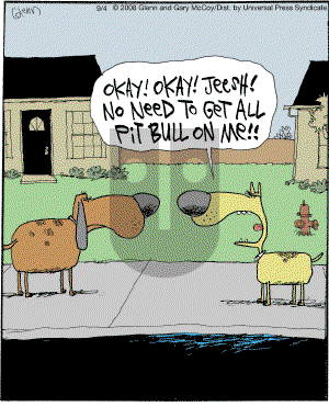 The Flying McCoys on Thursday September 4, 2008 Comic Strip