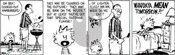Calvin and Hobbes - Thursday August 9, 1990 Comic Strip