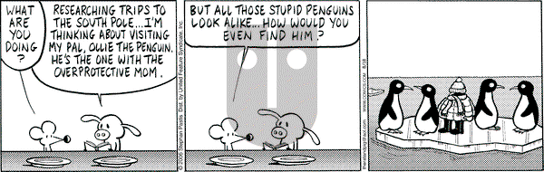 Pearls Before Swine on Tuesday May 27, 2008 Comic Strip