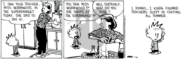 Calvin and Hobbes on Friday July 16, 1993 Comic Strip