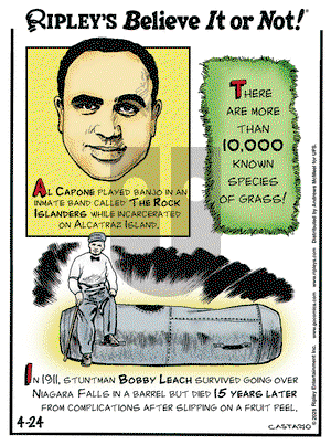 Ripley's Believe It or Not on Thursday April 24, 2025 Comic Strip