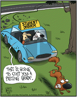 The Flying McCoys on Monday June 25, 2018 Comic Strip