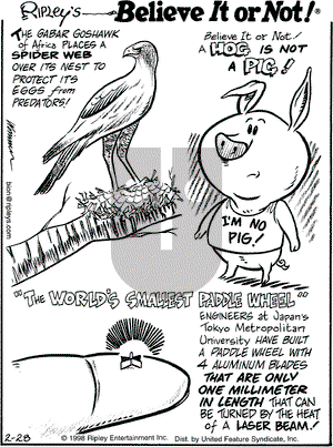 Ripley's Believe It or Not on Saturday February 28, 1998 Comic Strip