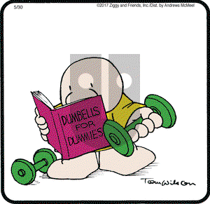 Ziggy on Tuesday May 30, 2017 Comic Strip