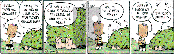 Wallace the Brave on Thursday July 25, 2019 Comic Strip