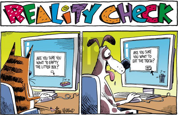 Reality Check on Sunday October 27, 2013 Comic Strip