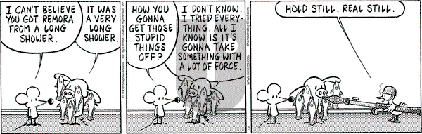 Pearls Before Swine on Tuesday January 8, 2008 Comic Strip
