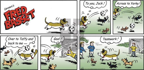 Fred Basset on Sunday October 14, 2018 Comic Strip