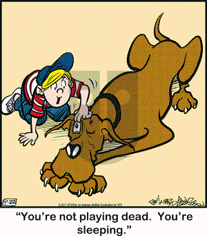 Marmaduke on Wednesday November 22, 2017 Comic Strip