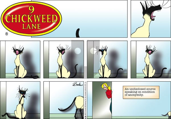 9 Chickweed Lane on Sunday May 26, 2013 Comic Strip