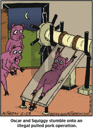 Close to Home on Monday February 29, 2016 Comic Strip