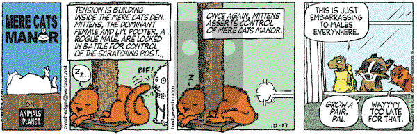 Over the Hedge on Tuesday October 23, 2007 Comic Strip