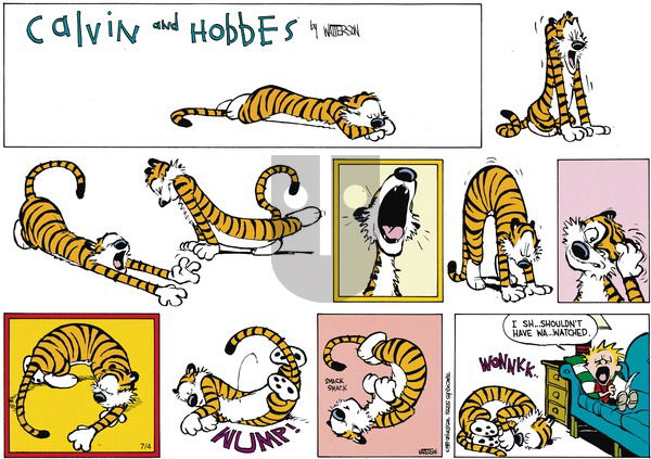 Calvin and Hobbes on Sunday August 13, 1989 Comic Strip