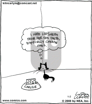 Kit 'N' Carlyle on Wednesday January 2, 2008 Comic Strip