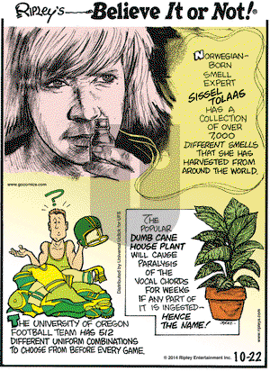 Ripley's Believe It or Not on Wednesday October 22, 2014 Comic Strip