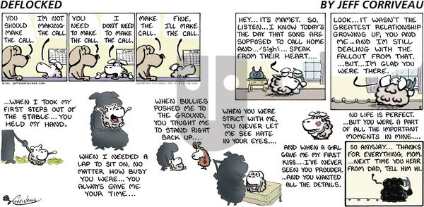 DeFlocked on Sunday June 21, 2009 Comic Strip