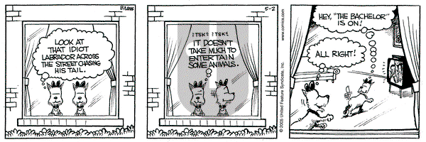 Grand Avenue on Monday May 2, 2005 Comic Strip