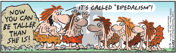 Frank and Ernest - Wednesday November 5, 2008 Comic Strip