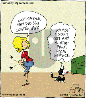 Kit 'N' Carlyle on Wednesday August 5, 2009 Comic Strip
