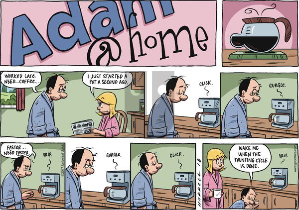 Adam@Home on Sunday January 8, 2017 Comic Strip
