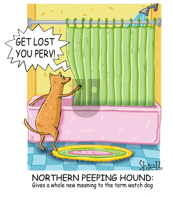 The Wandering Melon - Thursday September 12, 2024 Comic Strip